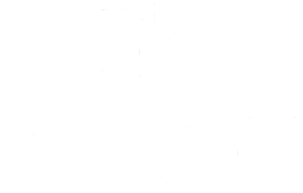 The Wild Robot
